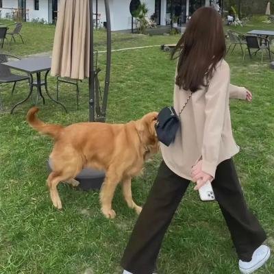 无尽列车第一季